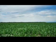 smart electric linear actuator